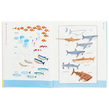 Load image into Gallery viewer, FALSE