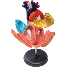 Load image into Gallery viewer, 4D Heart Puzzle