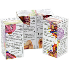 Load image into Gallery viewer, Human Body Cube Book
