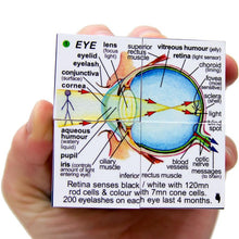 Load image into Gallery viewer, Human Body Cube Book