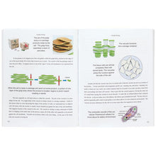 Load image into Gallery viewer, FALSE