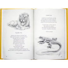 Load image into Gallery viewer, All About Reading Pre-reading