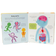 Load image into Gallery viewer, FALSE